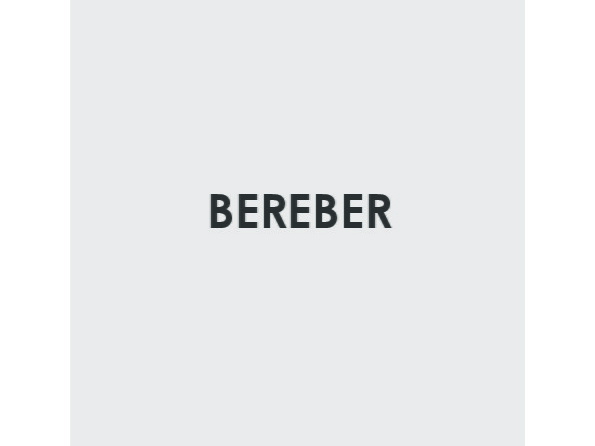 Selling tips Bereber Collection.pdf