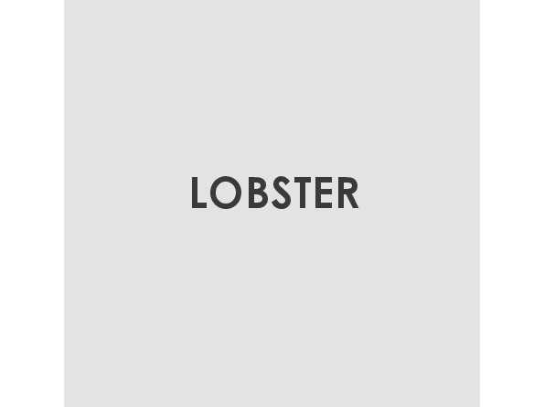 Selling tips Lobster Collection.pdf