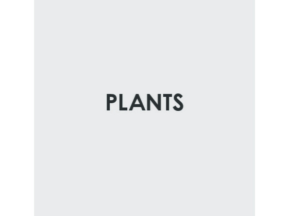 Selling tips Plants Collection.pdf