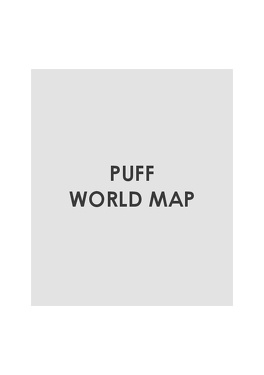 NDP World Map Puff  ESP