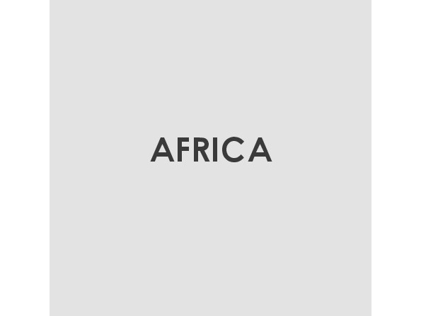 NDP_Africa_ESP.pdf