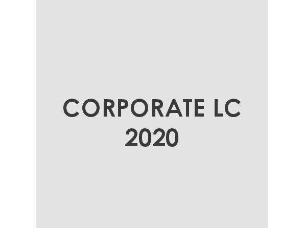 PR_Lorena Canals 2020 Corporate Review.pdf