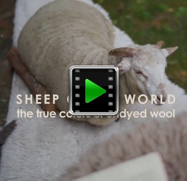 Sheepoftheworld_white