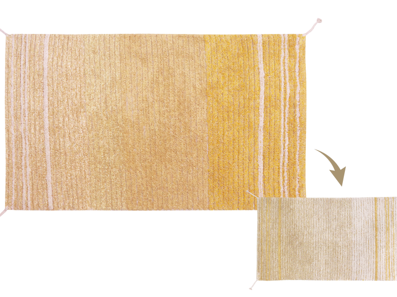 C-TWIN-AMB-XS_1a.png
